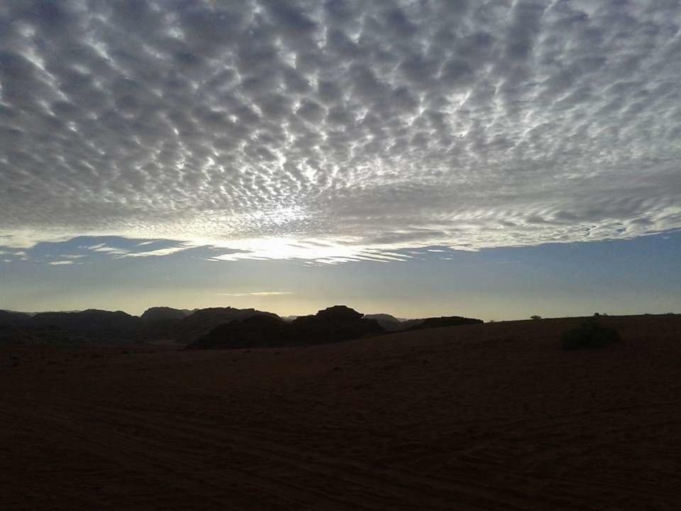 Wadi Rum Local Guide Camp エクステリア 写真